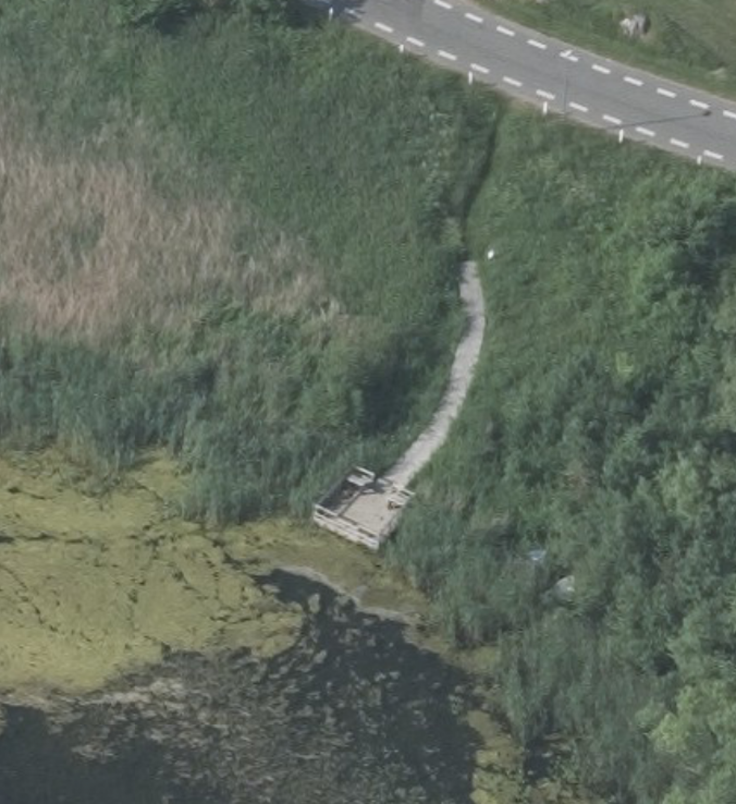Luftfoto af fiskeplatformen i Sønderby Sø. Fra vejen til boardwalken er der ca. 15 meter sti uden belægning. Boardwalken er 1,5 meter bred og fiskeplatformen er 4 x 4 meter.