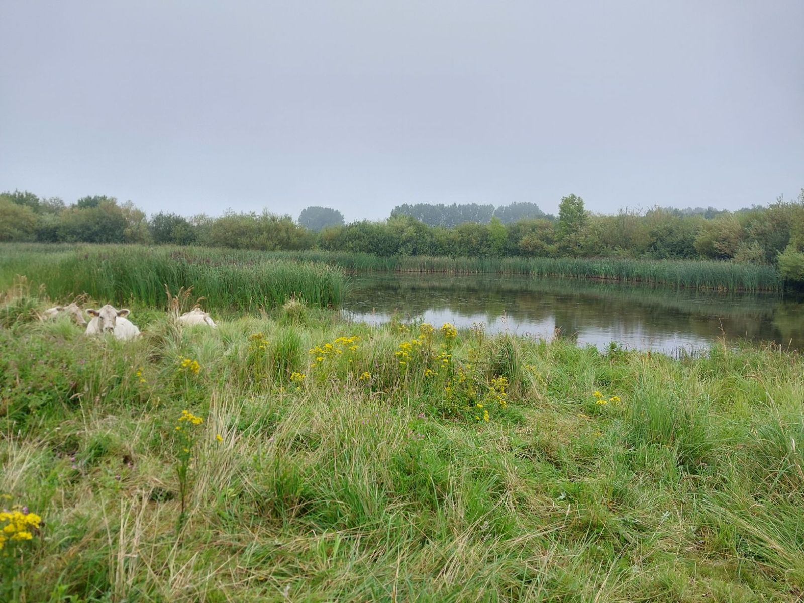 Klosterskov Nord, shelter in Denmark