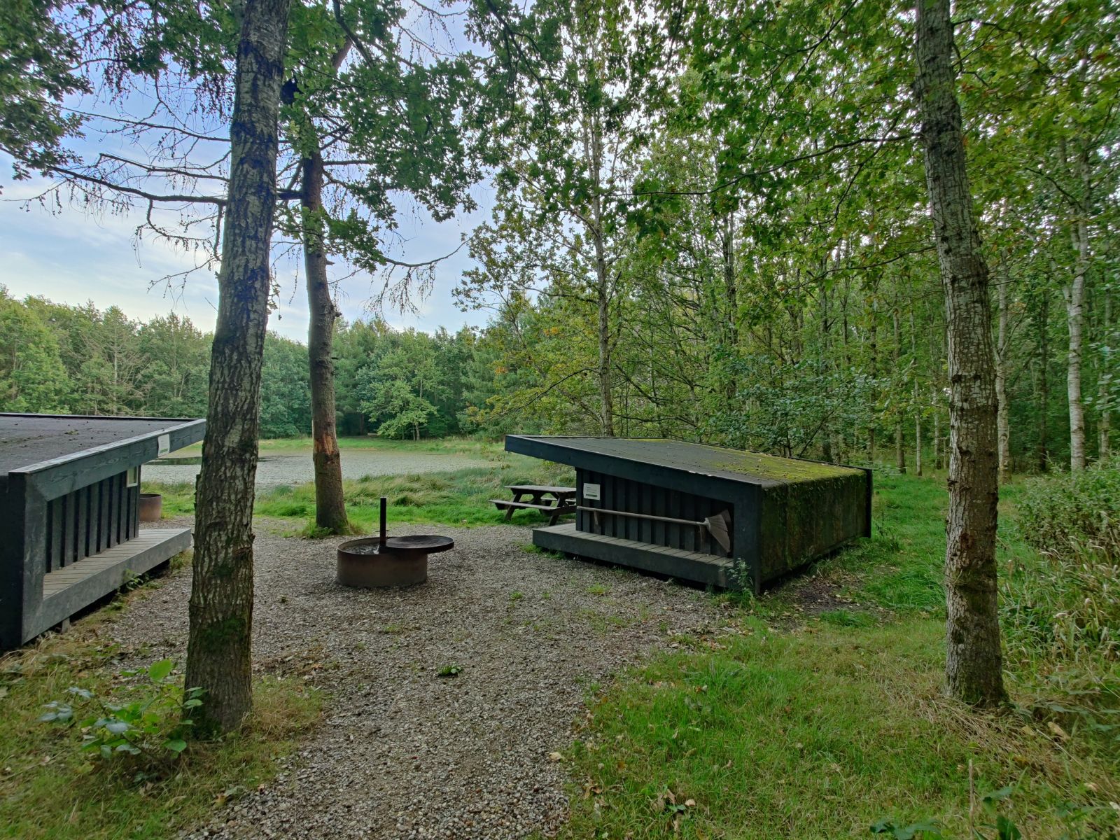Shelterplads i Tranbjerg Skov