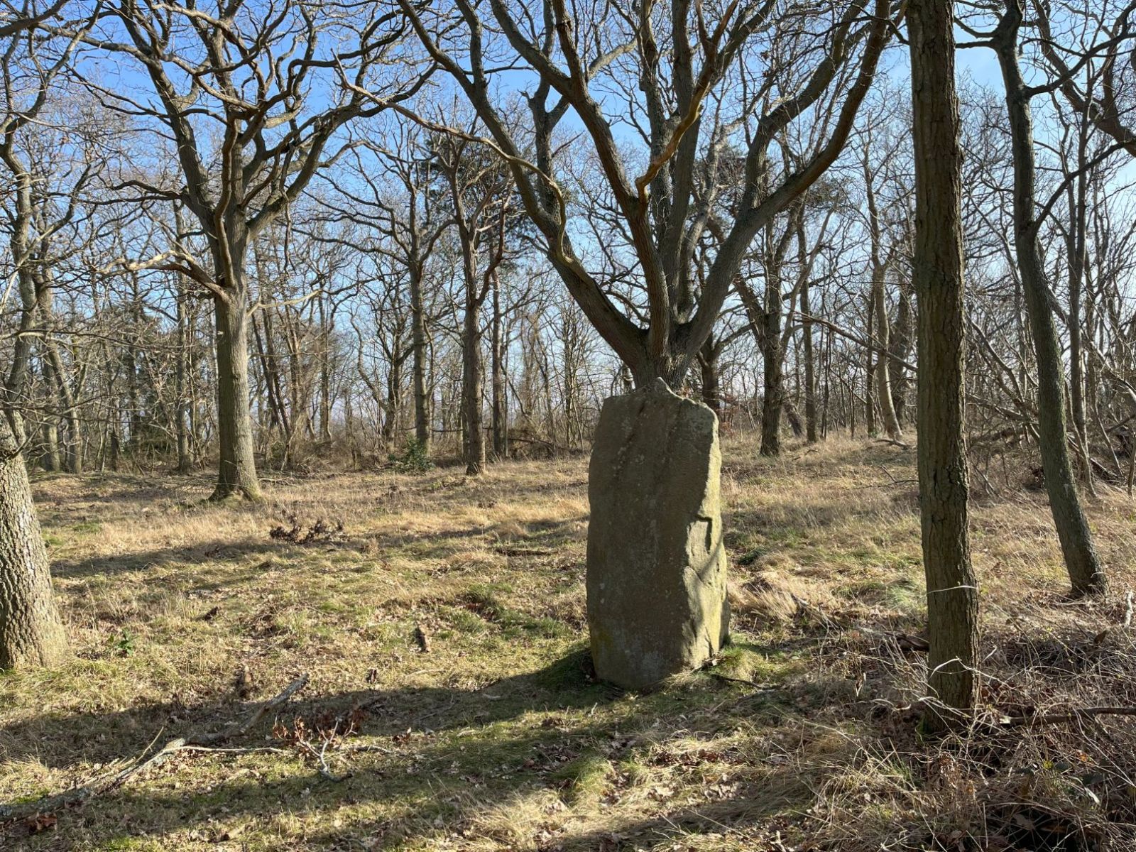 Bautasten