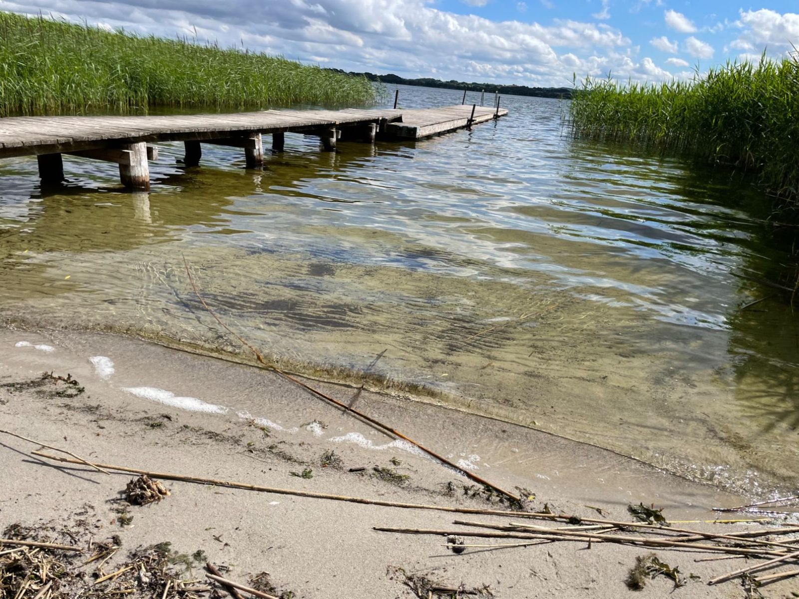Badestranden ved Næsset