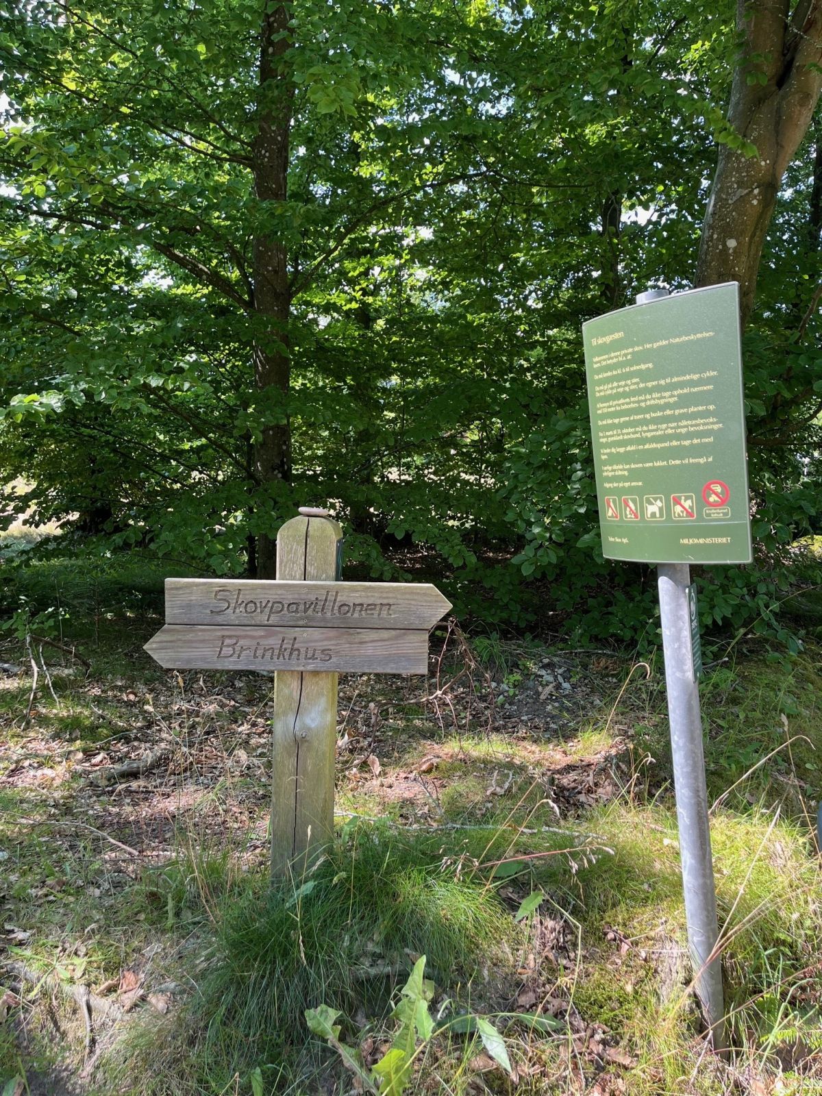 Skiltning til Tolne Skovpavillon og Brinkhus. Skilt med opmærksomhedspunkter.