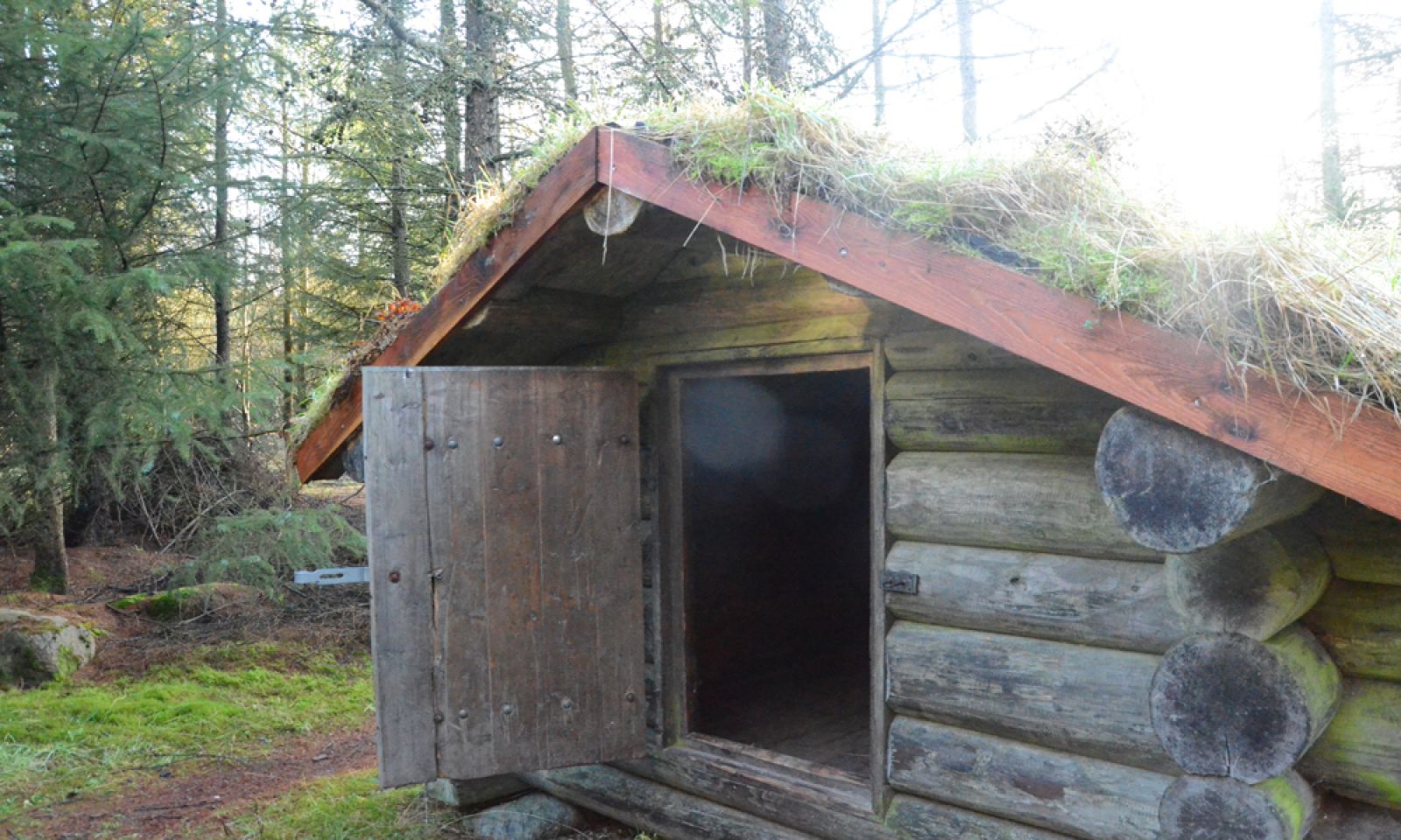 Shelterplads v. Staldhøjevej - Shelter 2 – miniature 3