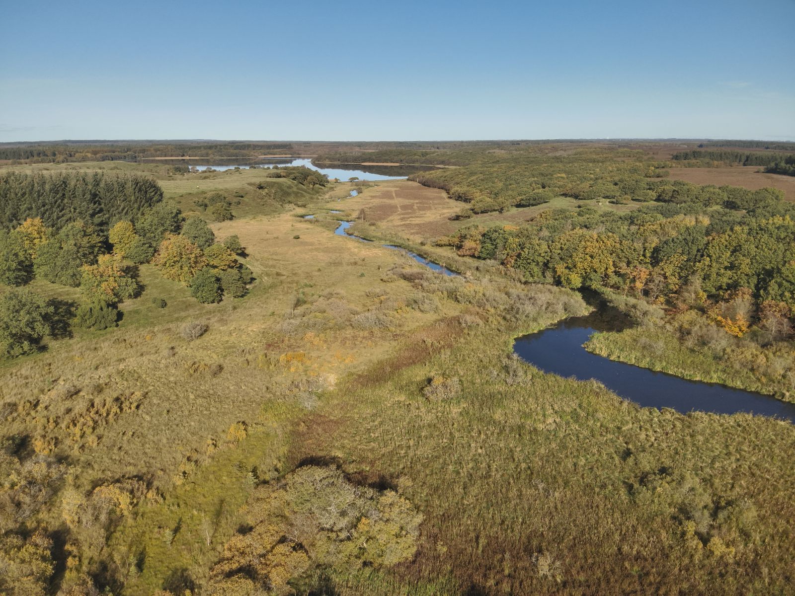 Foto fra Flyndersø/Stubber Å, tæt på ruten 