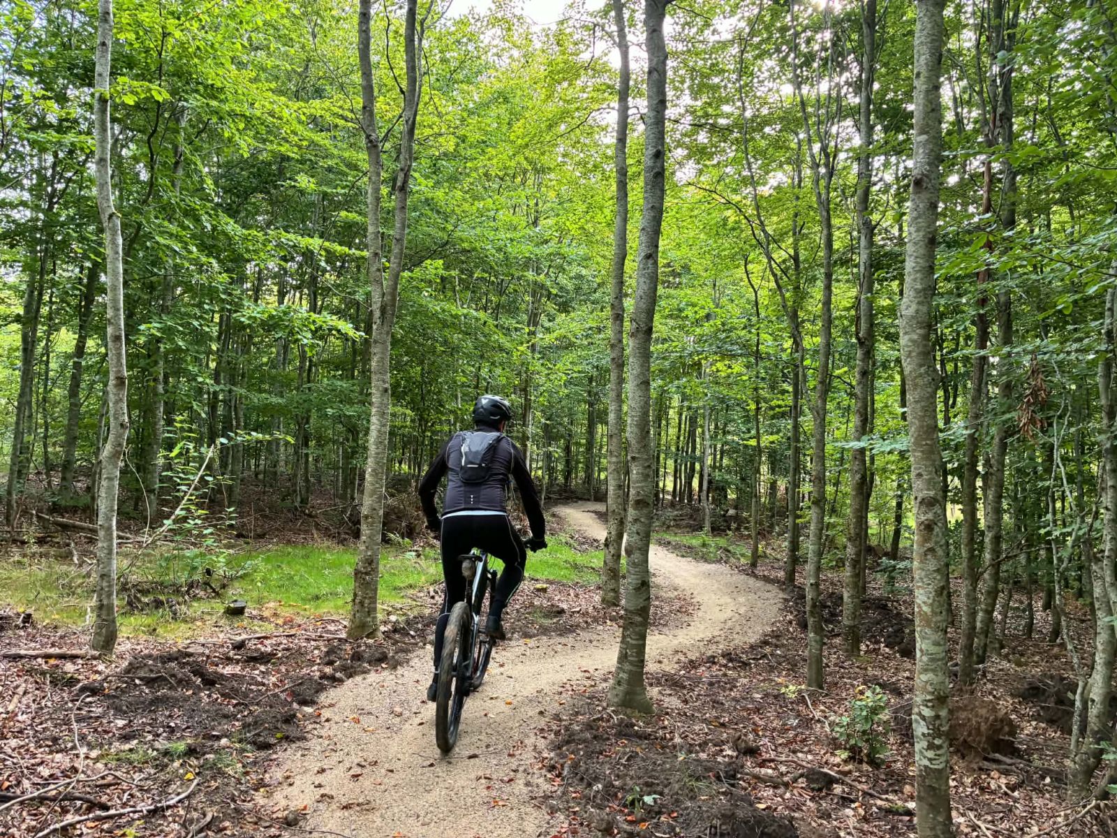Mountainbike, der kører på ensartet underlag gennem skoven
