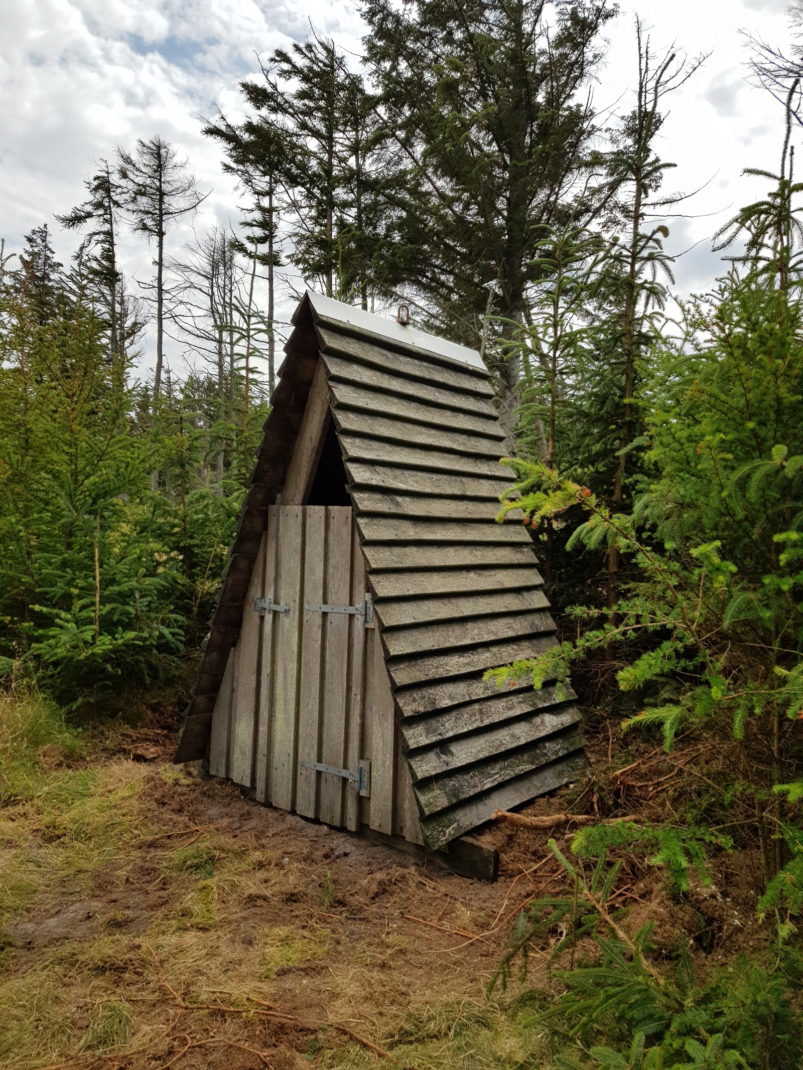 Tvorup Vest ved Shelter, shelter in Denmark