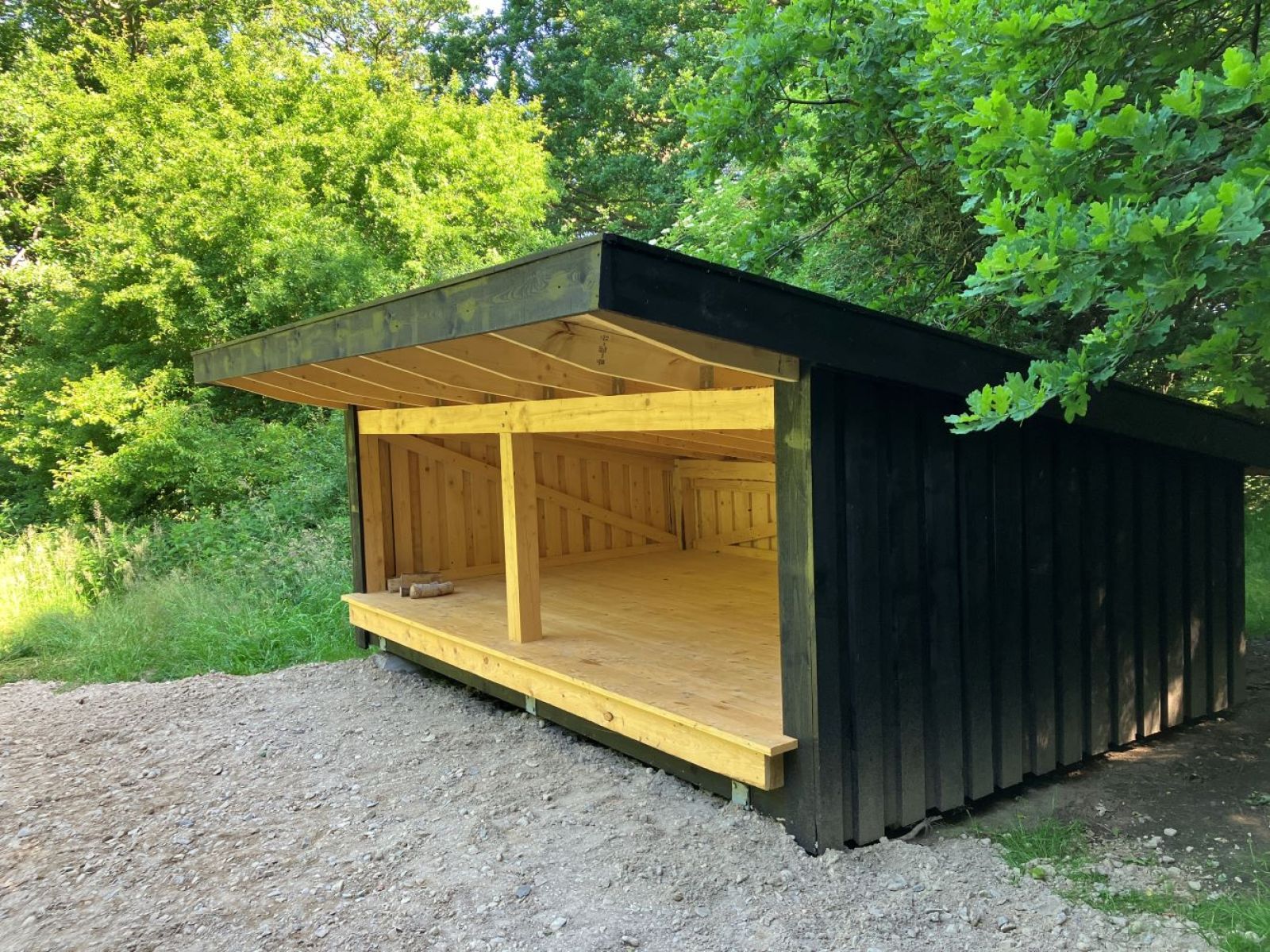 Shelter