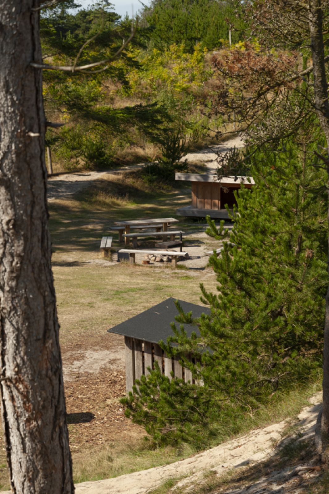 Stort Shelter - Lodbjerg Fyr – miniature 4