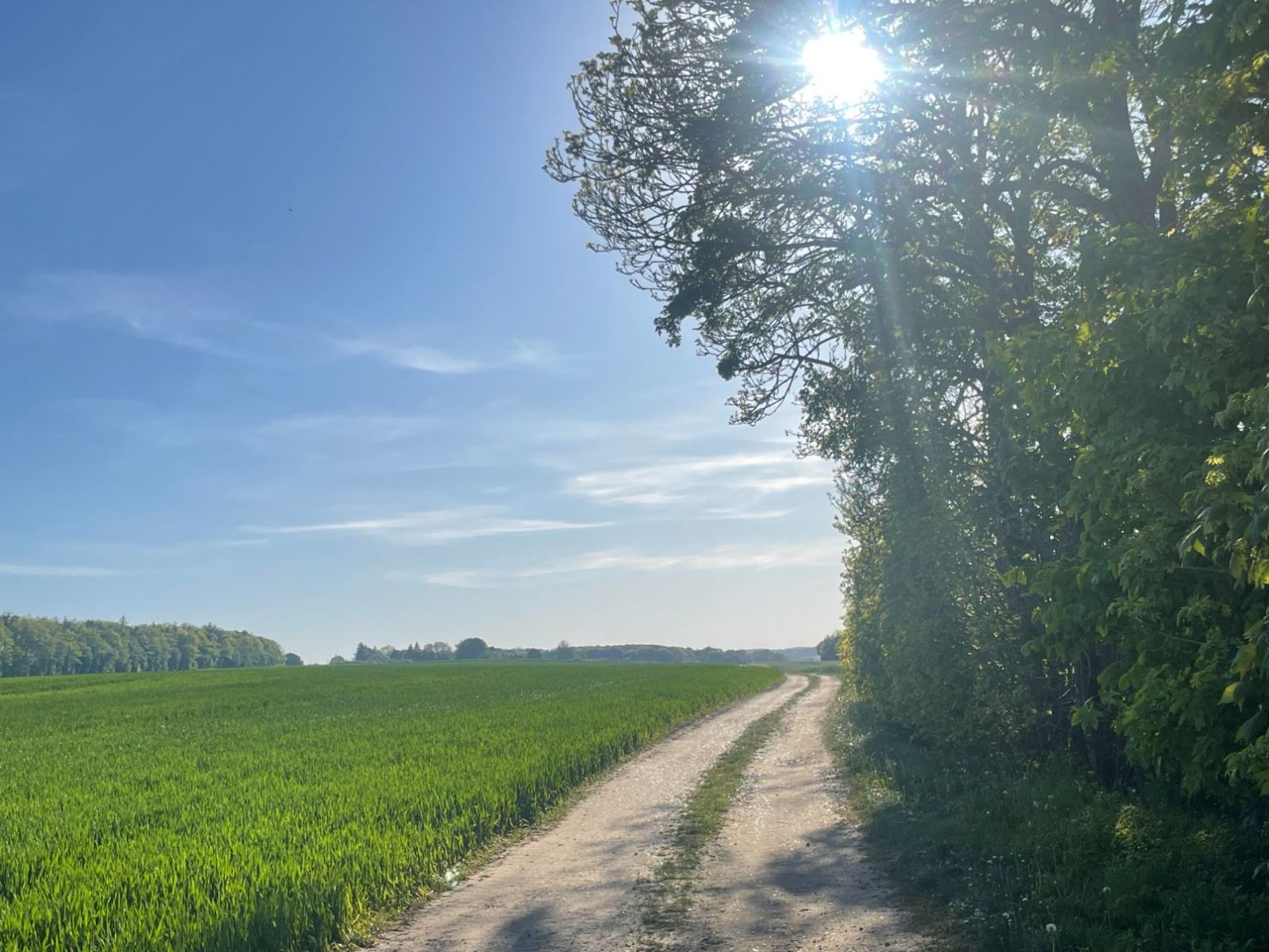 Markvej i kanten af Lyngbygård ådal