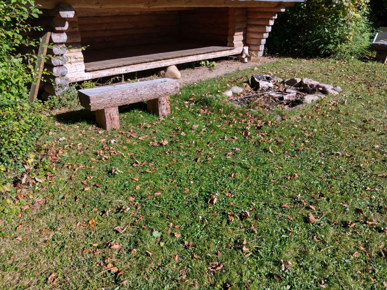 Stor shelter