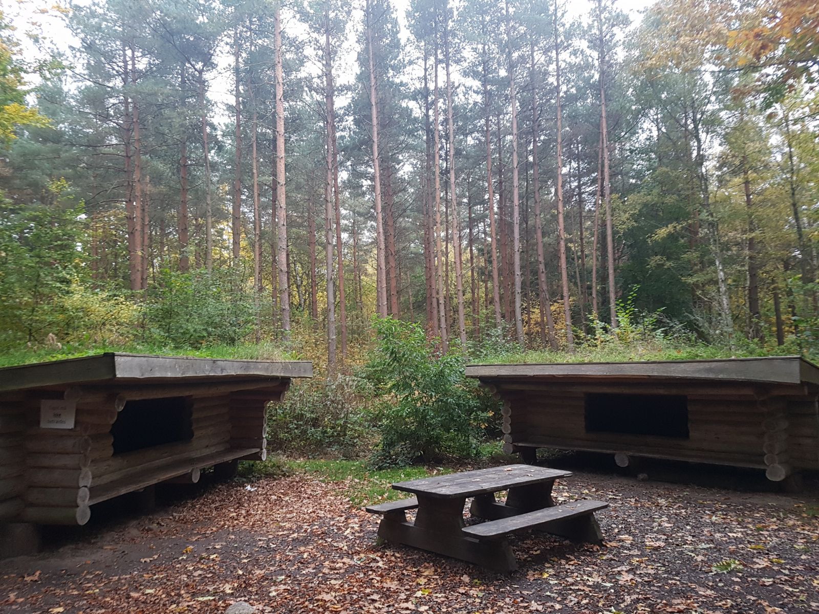 Shelter Hasle Lystskov.                            – miniature 3