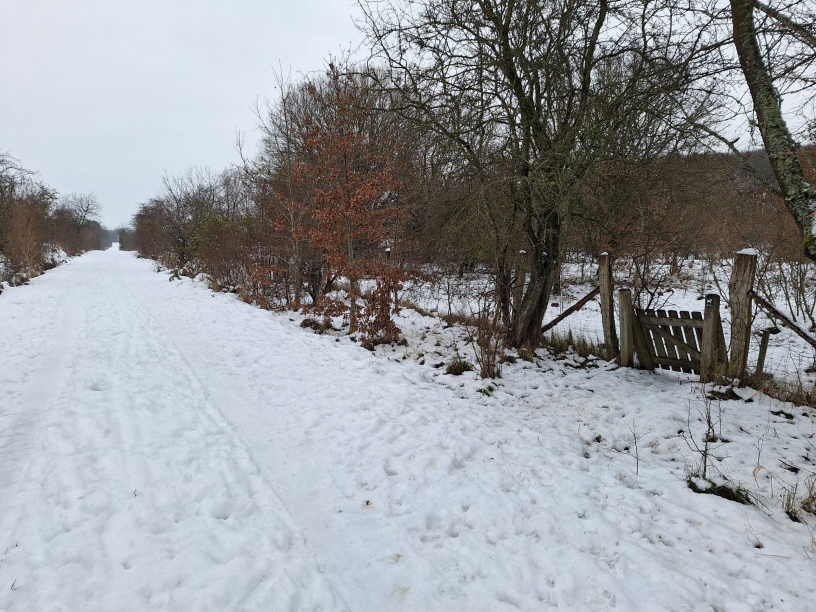 Klaplåge til den hegnede hundeskov i den vestlige ende.