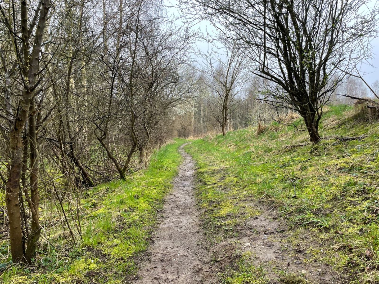 Sporet om Jeksen Bæk og Bjertrupskov