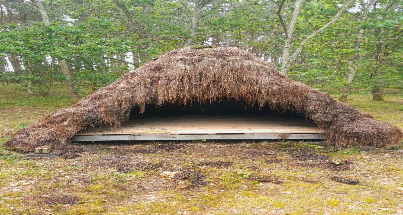 Sdr. Nyland - tangtag shelter på lille teltplads – miniature 1