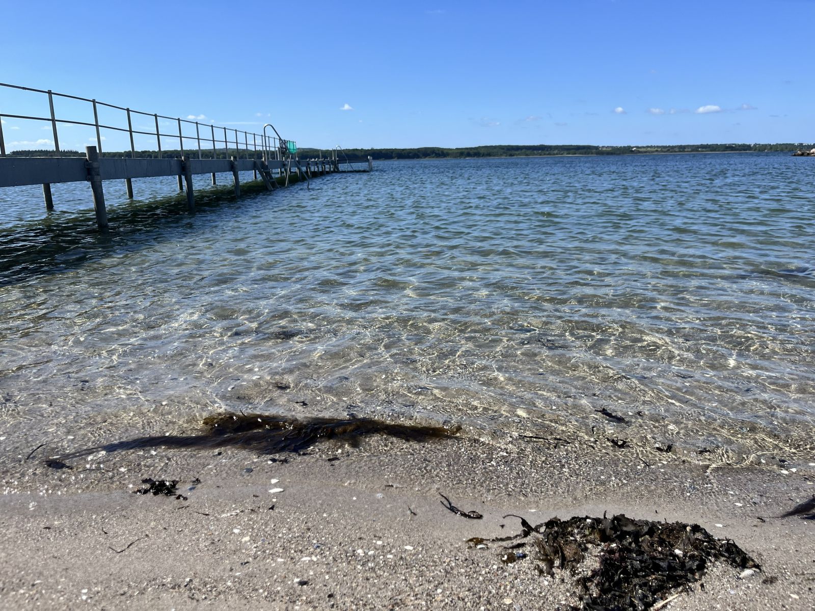 Vandkanten ved siden af badebroen