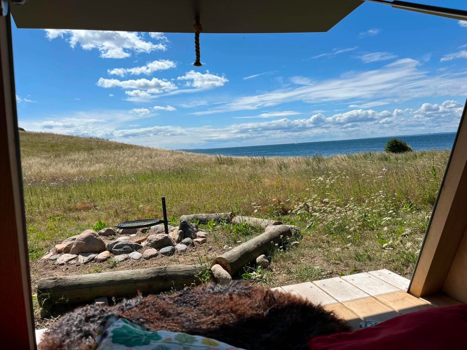 Shelterstemning