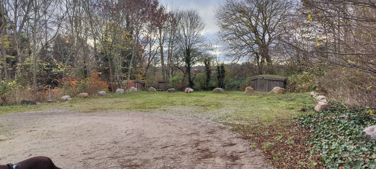 Sprove Shelterplads – miniature 4