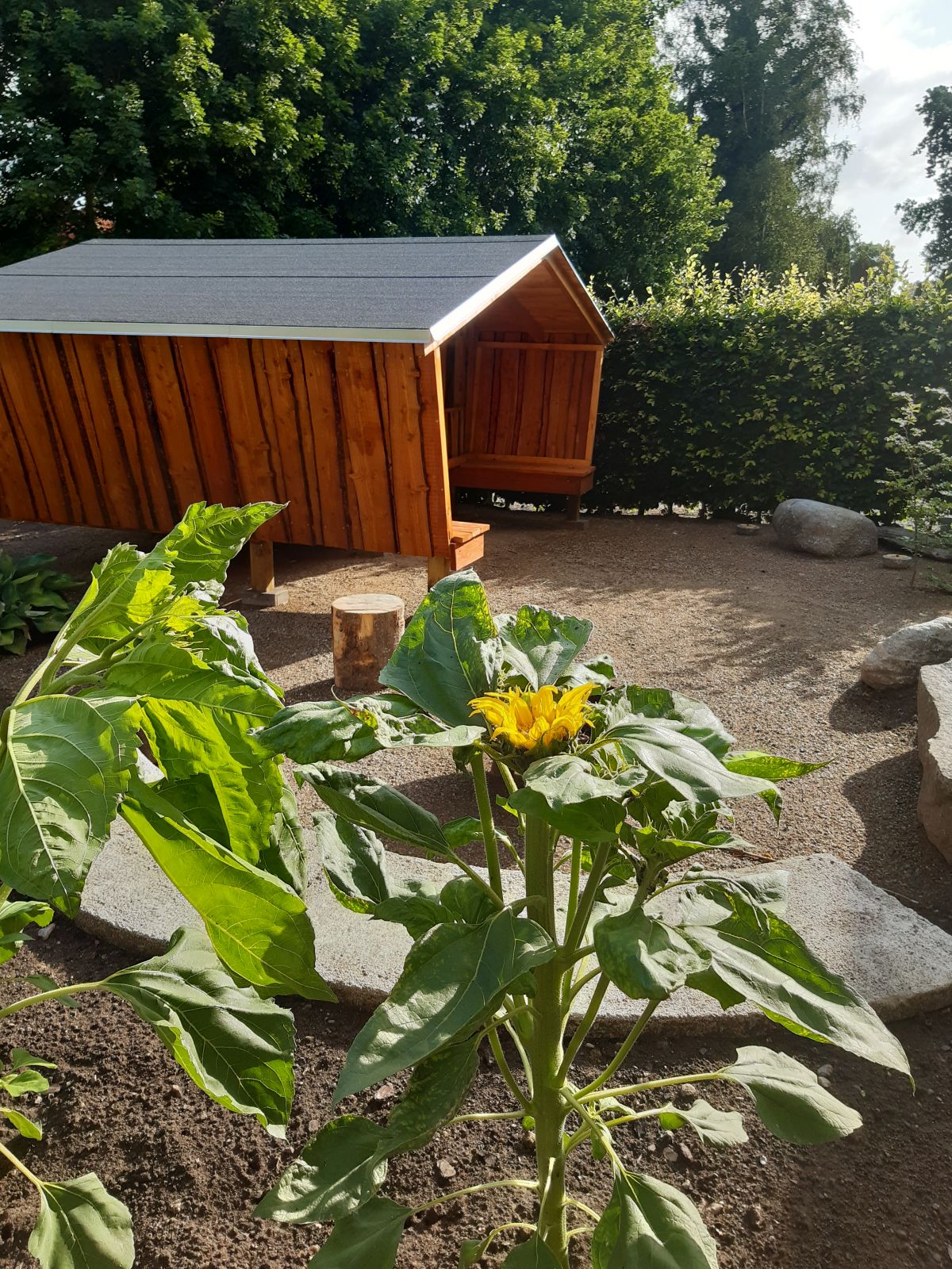 Højagers shelter – miniature 2