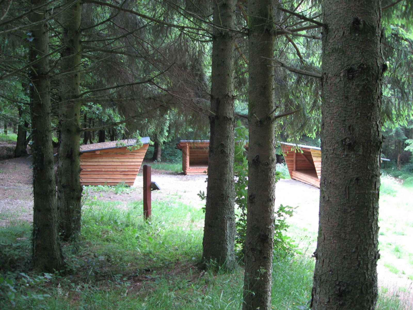 Søgård Skov, på overnatningssted, shelter in Denmark
