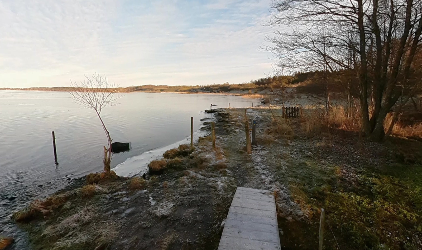 Smal gangbro placeret tæt på kyst i naturlige omgivelser.