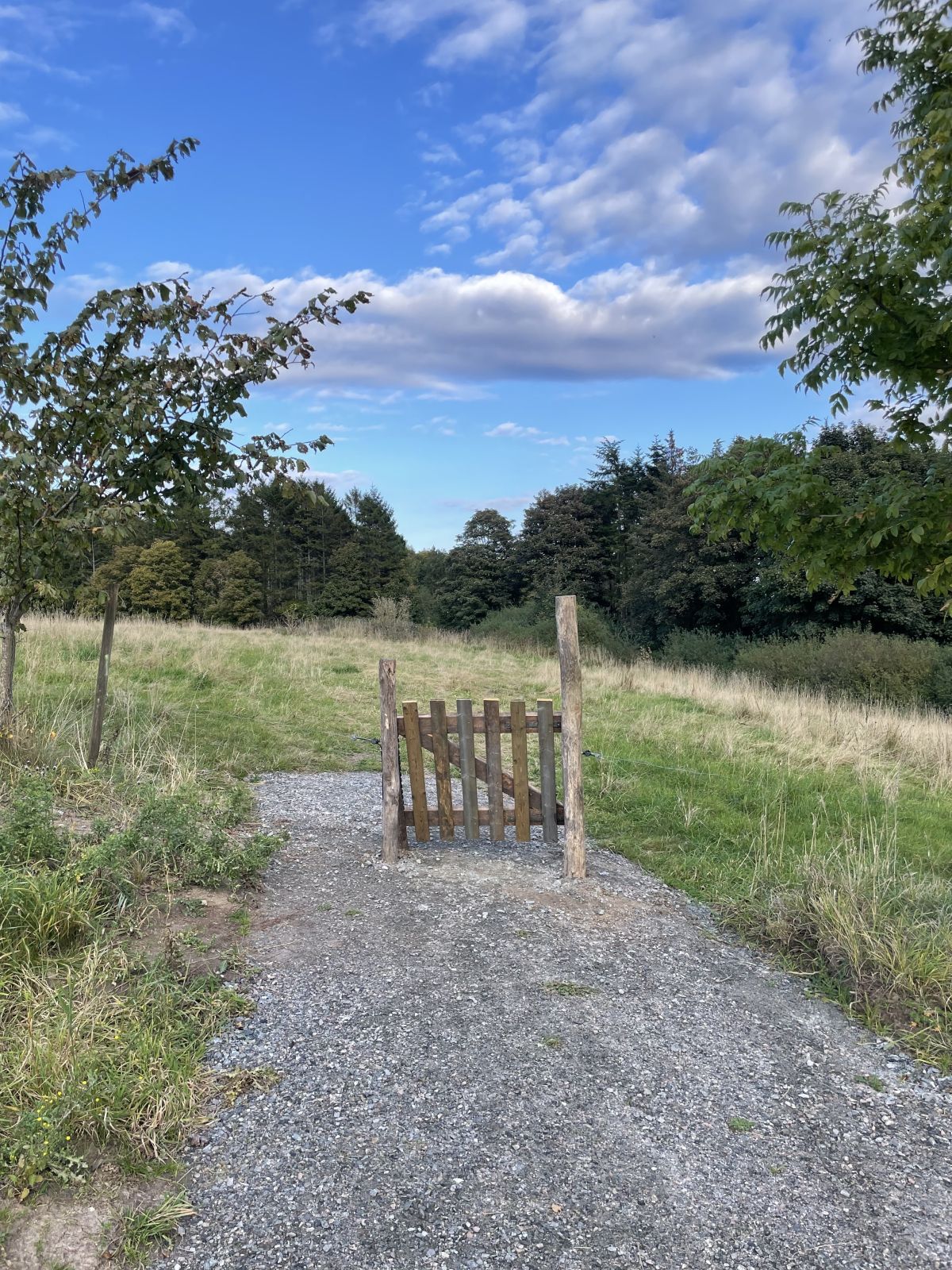 Fotoet viser lågen der fører gennem et afgræsset område