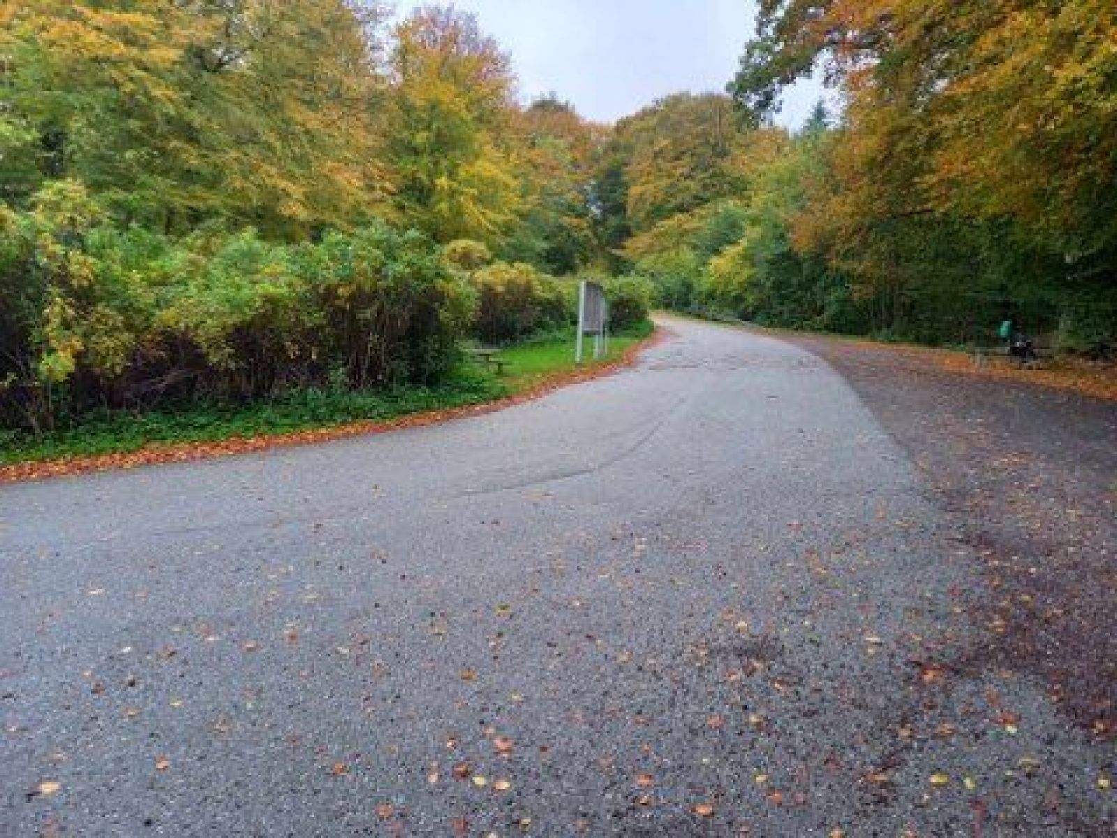 Parkering og borde/bænke sæt