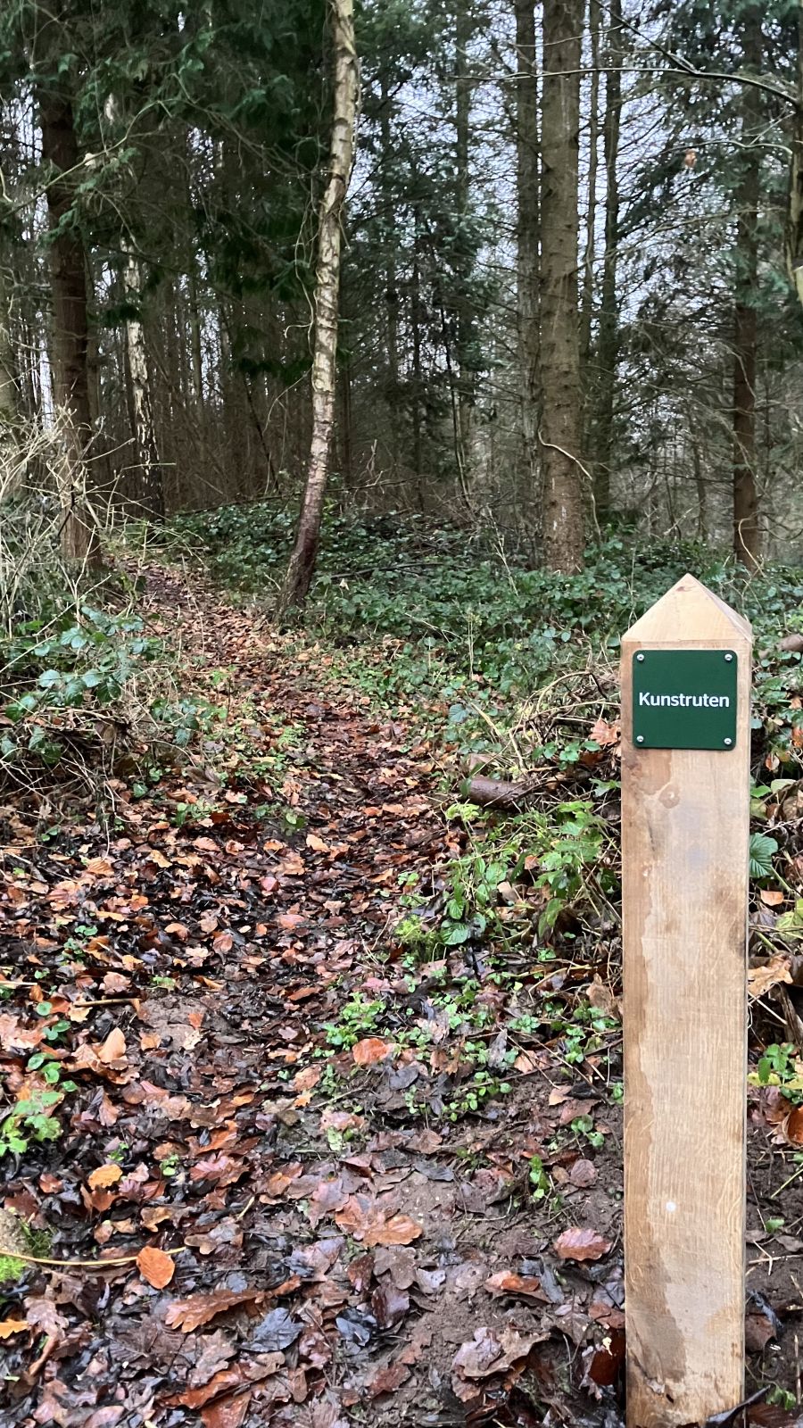 Kunstruten i Pipstorn Skov