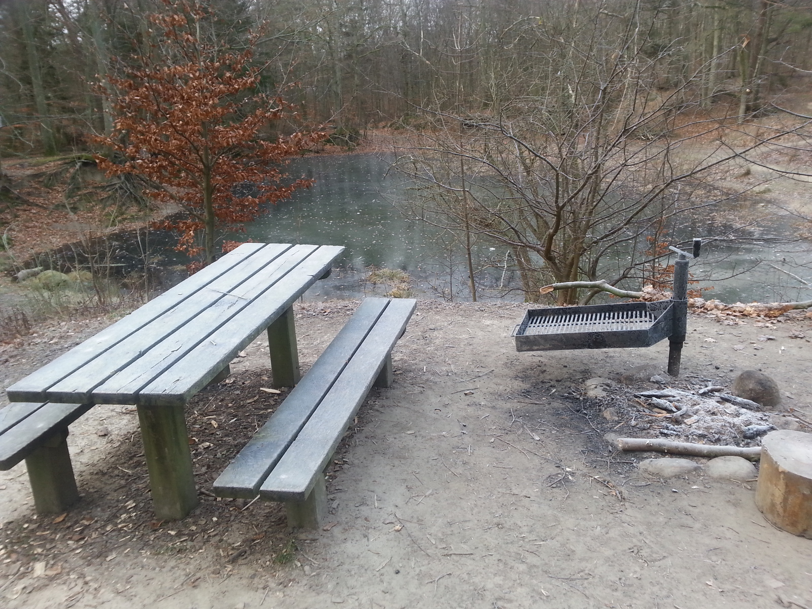 Vandkalven Shelterplads i Tisvilde Hegn                                                                  – miniature 1