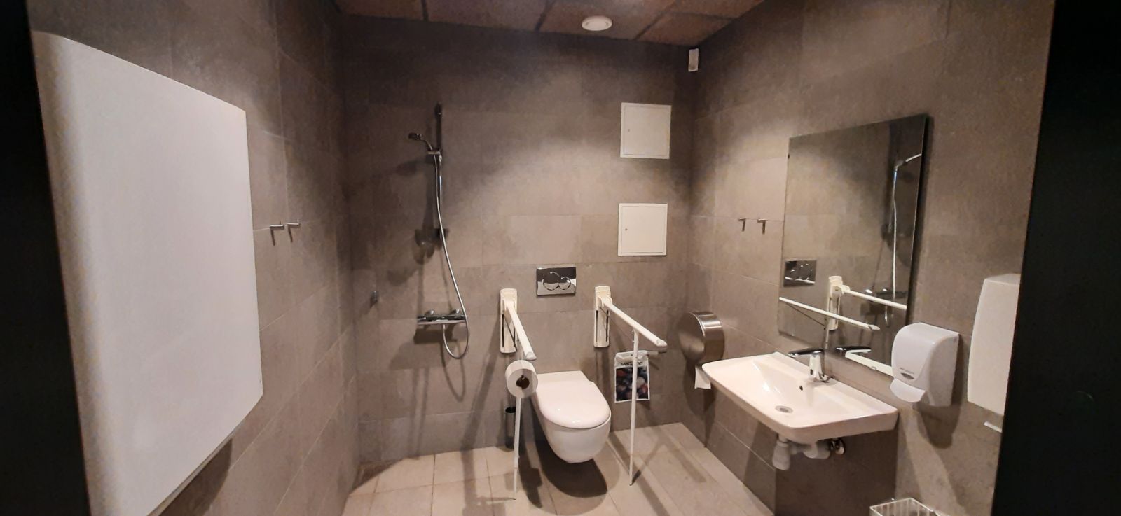 Handicap toilet