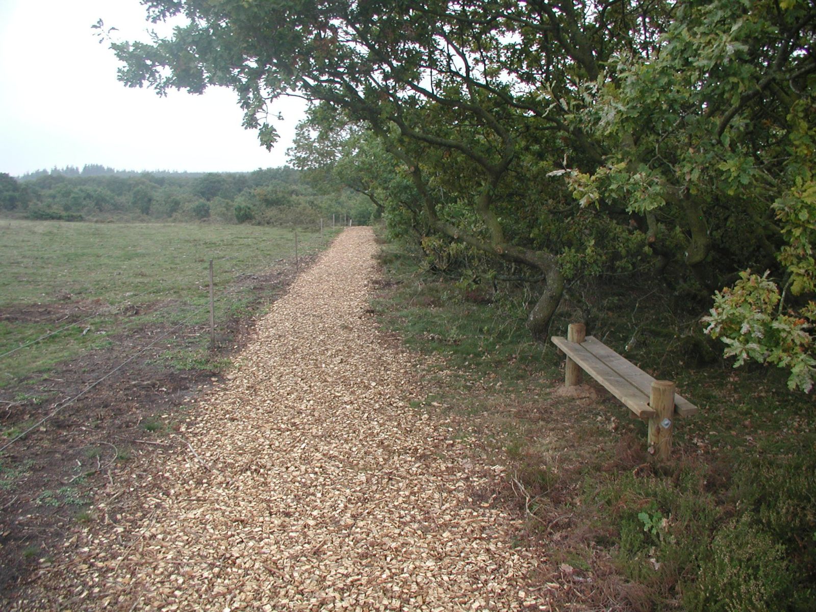 Bænk ved Ådalstien