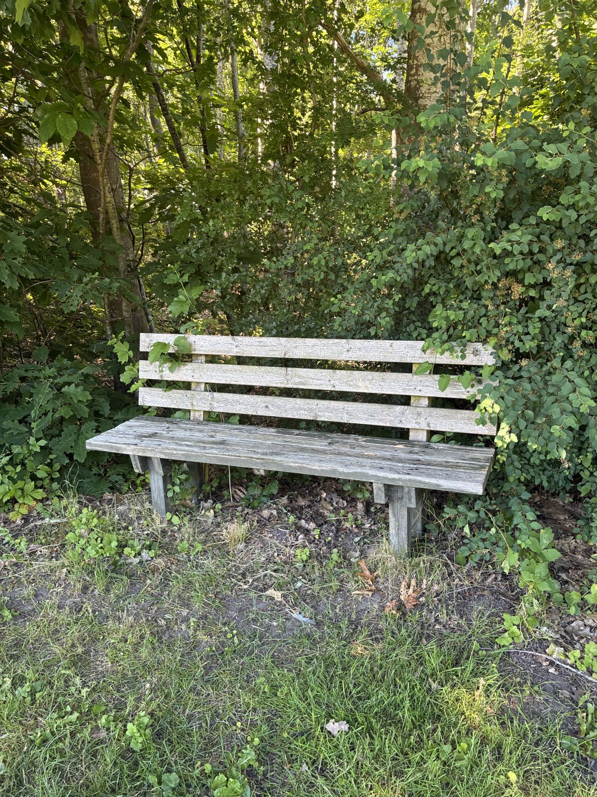 Bænk af træ