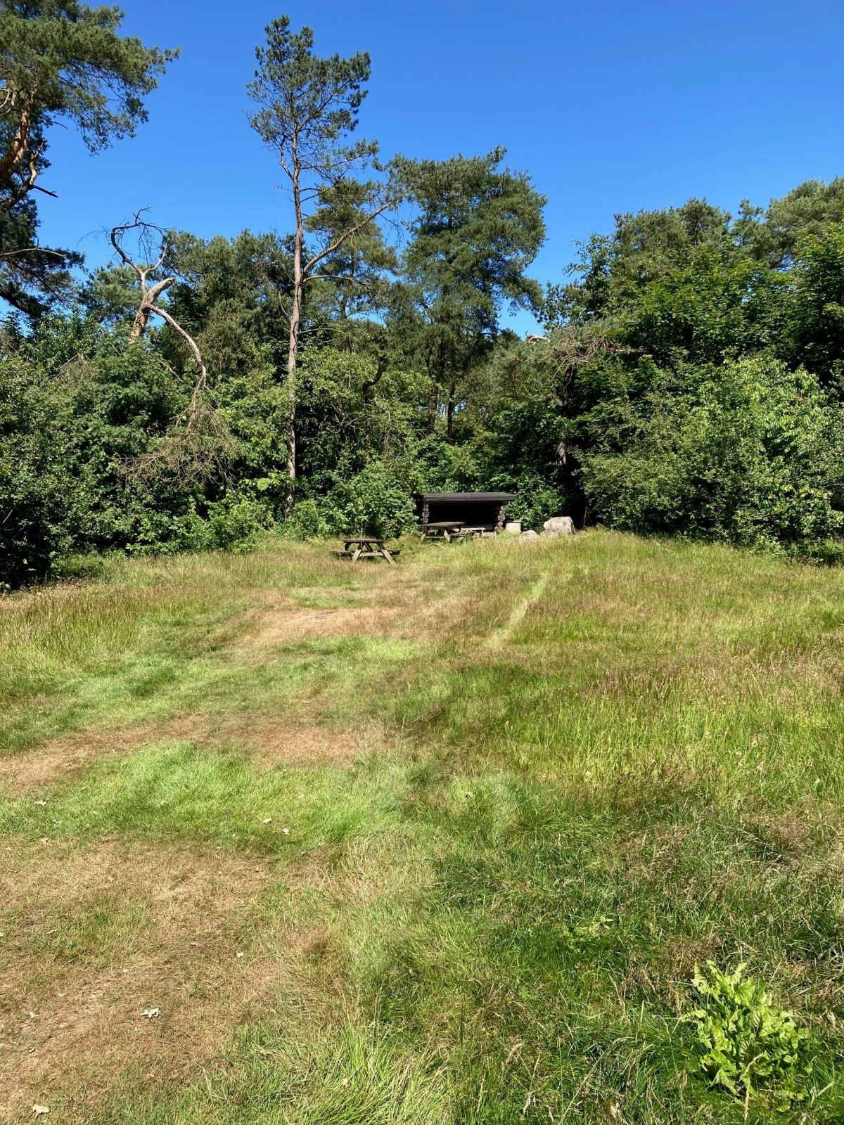Parkeringsområde ved shelterplads