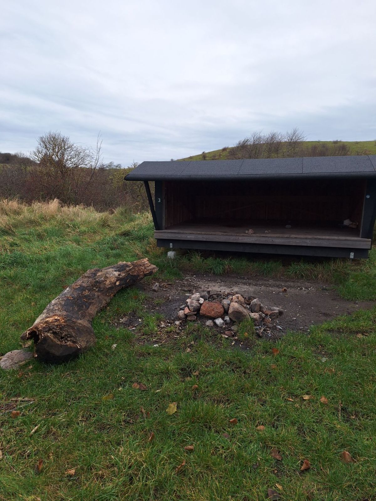 Bålplads med en stamme til venstre for som kan benyttes som bænk. Bag bålpladsen ses shelter nummer 3. Bålpladsen er med sandet underlag og det øvrige areal er med græstæppe.