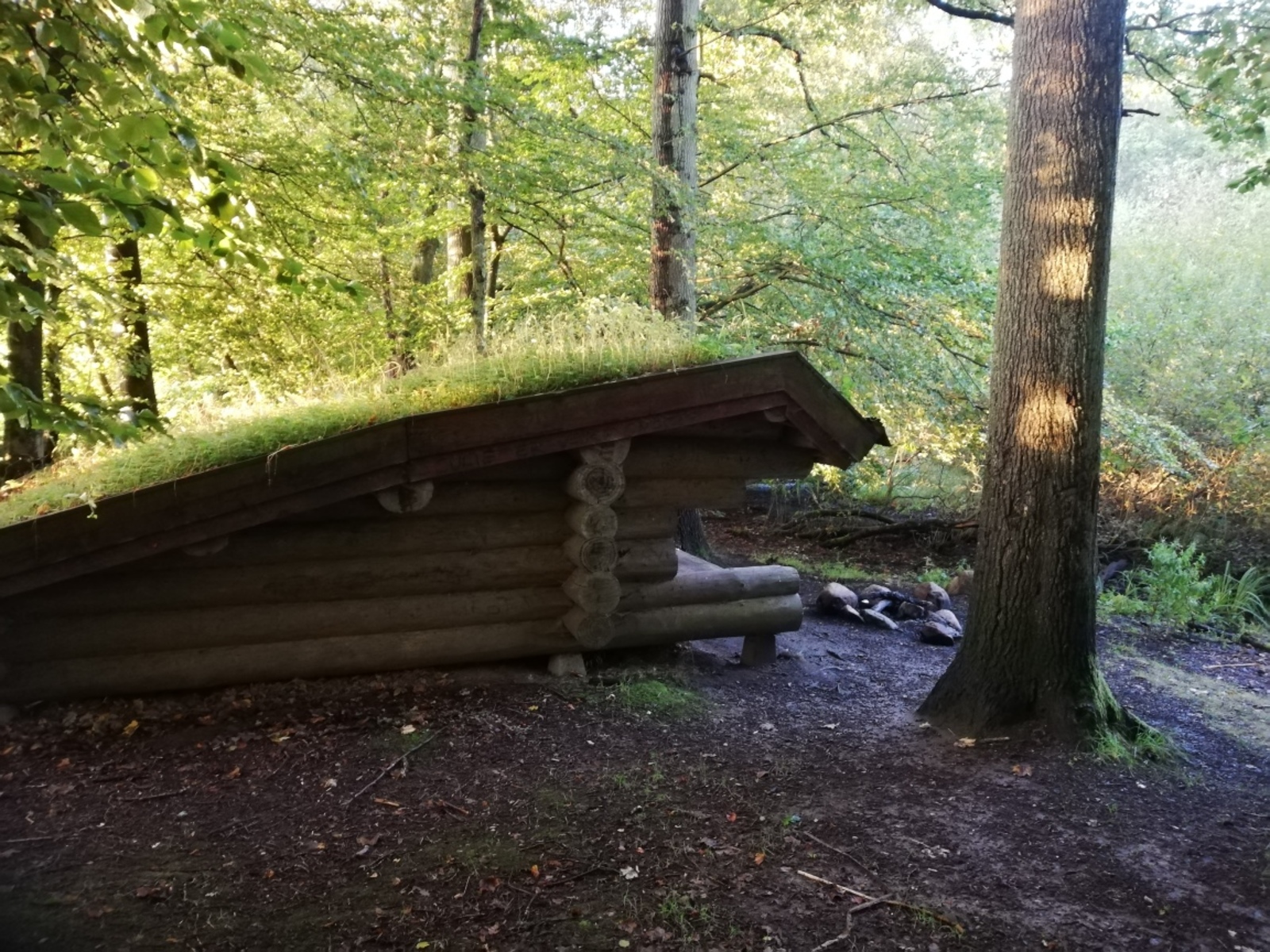 Uggeløse Skov nord, shelter – miniature 2