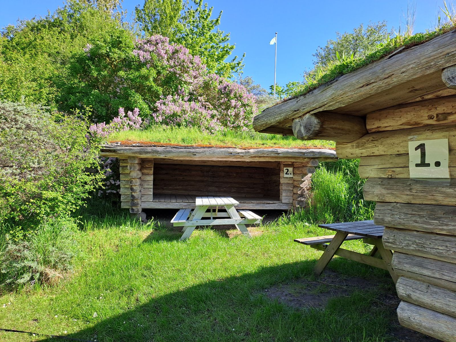 To træ-shelters med græstag i en blomstrende, grøn natur. En hvid bænk står mellem dem, og lilla syrener blomstrer i baggrunden. Nummerpladerne '1.' og '2.' markerer de to shelters