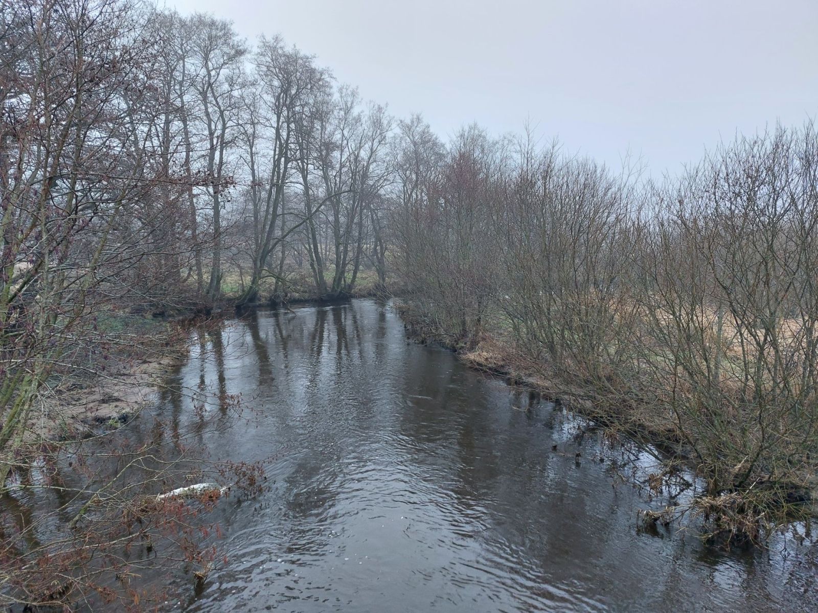 Vejle Å