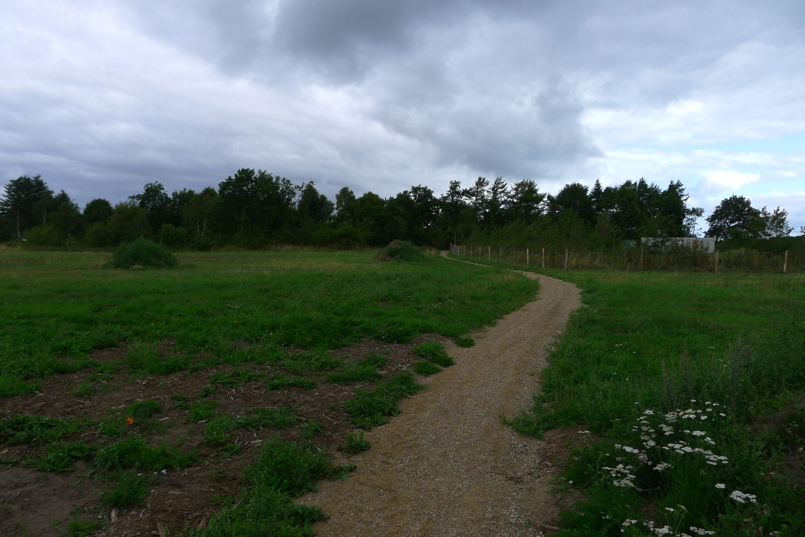 Sti i Sæby Hundeskov