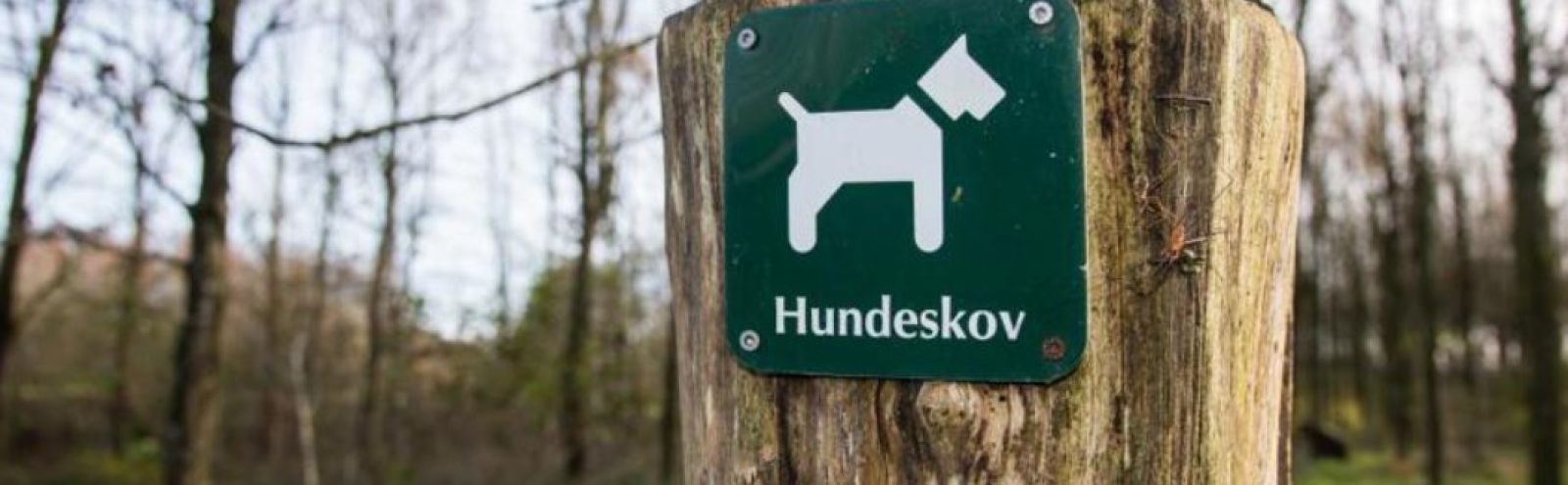 Hundeskov, Egedal Skov, Ebeltoft
