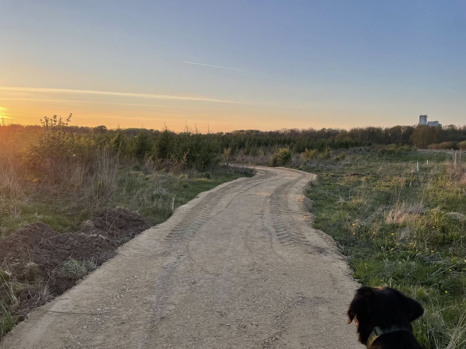 Sti i Durup Folkeskov