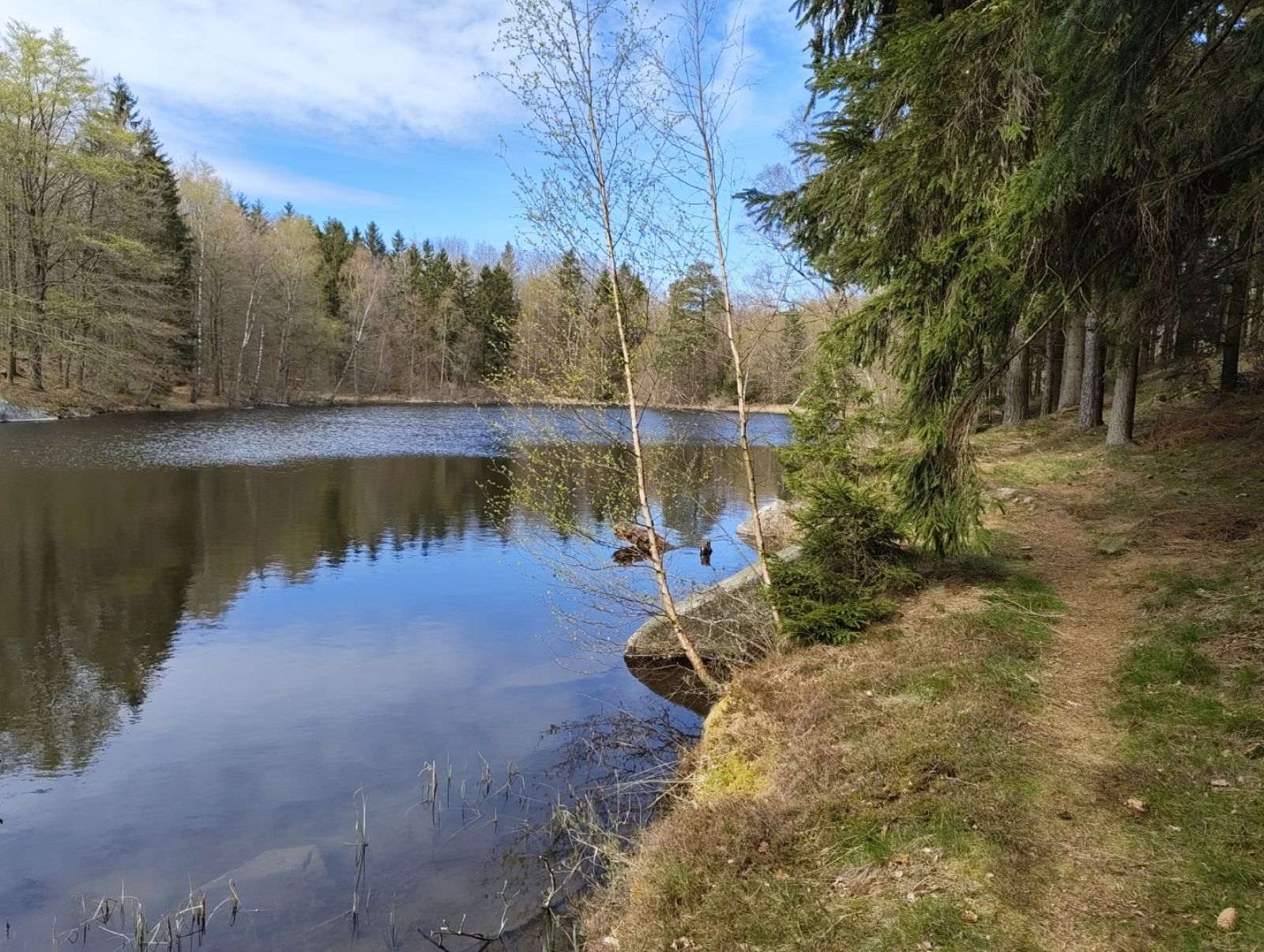 Skovsø.