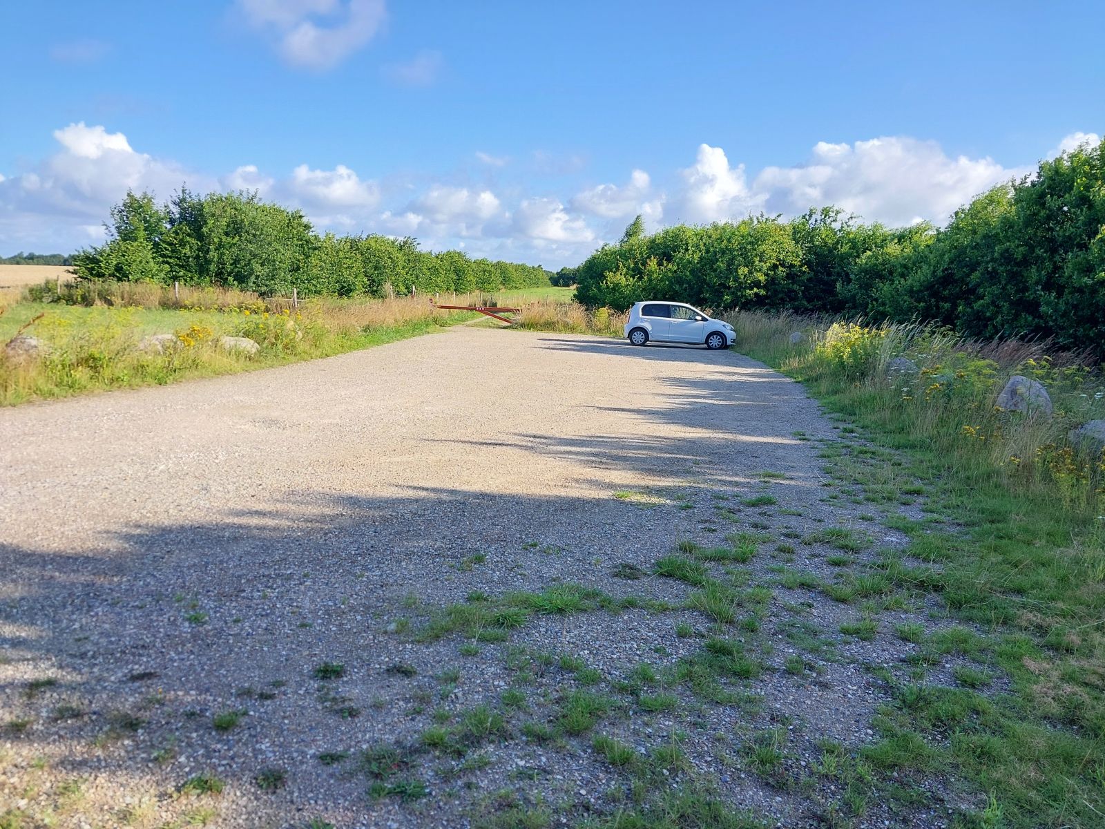 Grusparkering ved skov med hvid bil