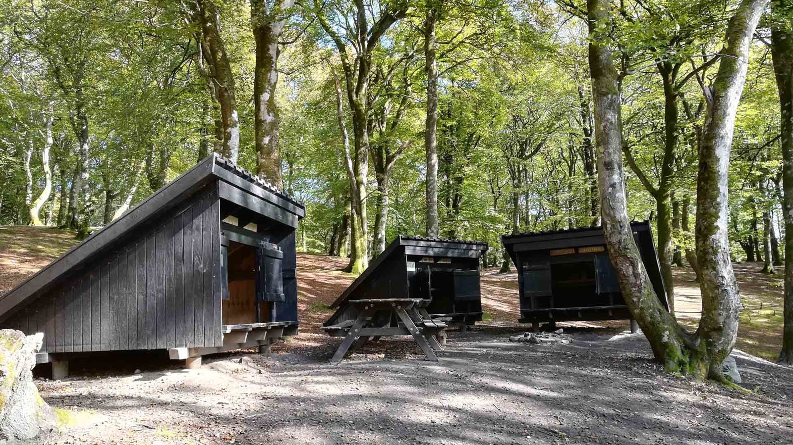 Bålplads ved shelter