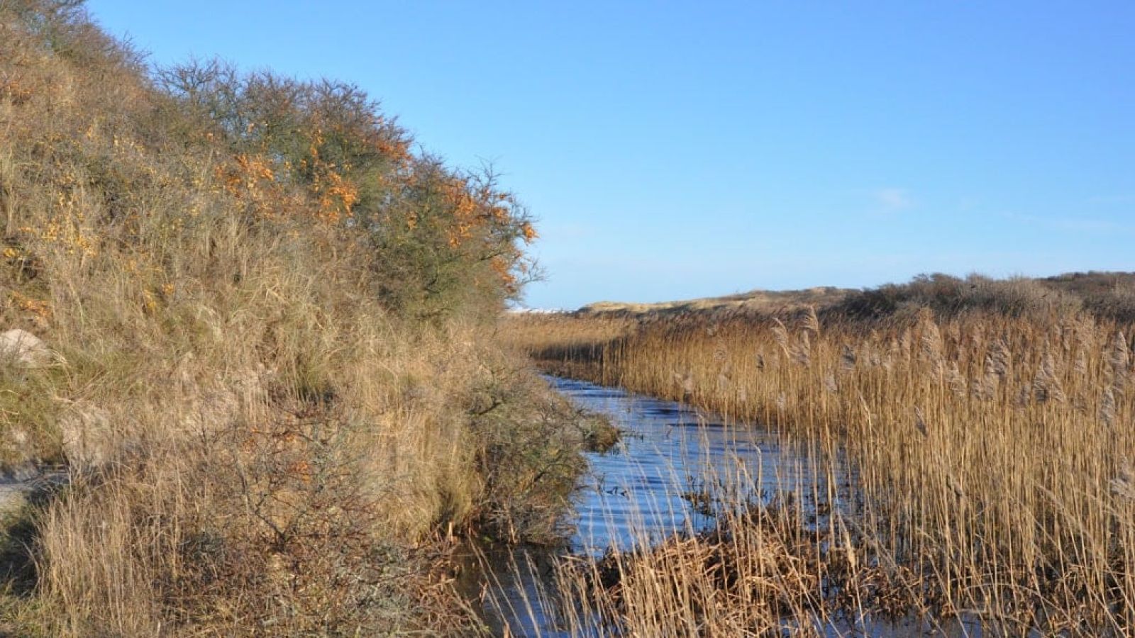 Flodbæk.