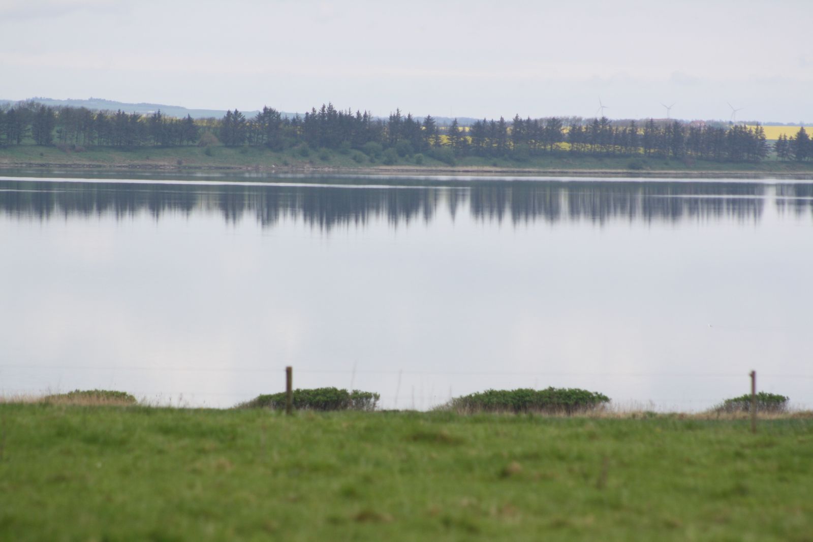Plethøj ruten