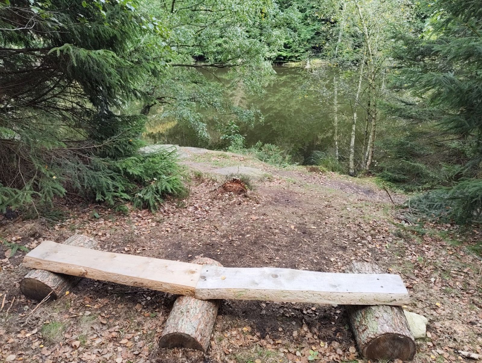 Bænk med udsigt over skovsø.
