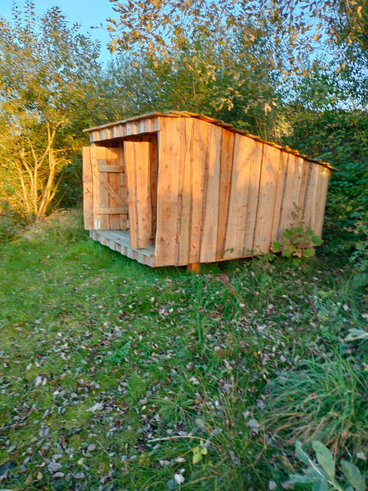 Shelter set fra siden
