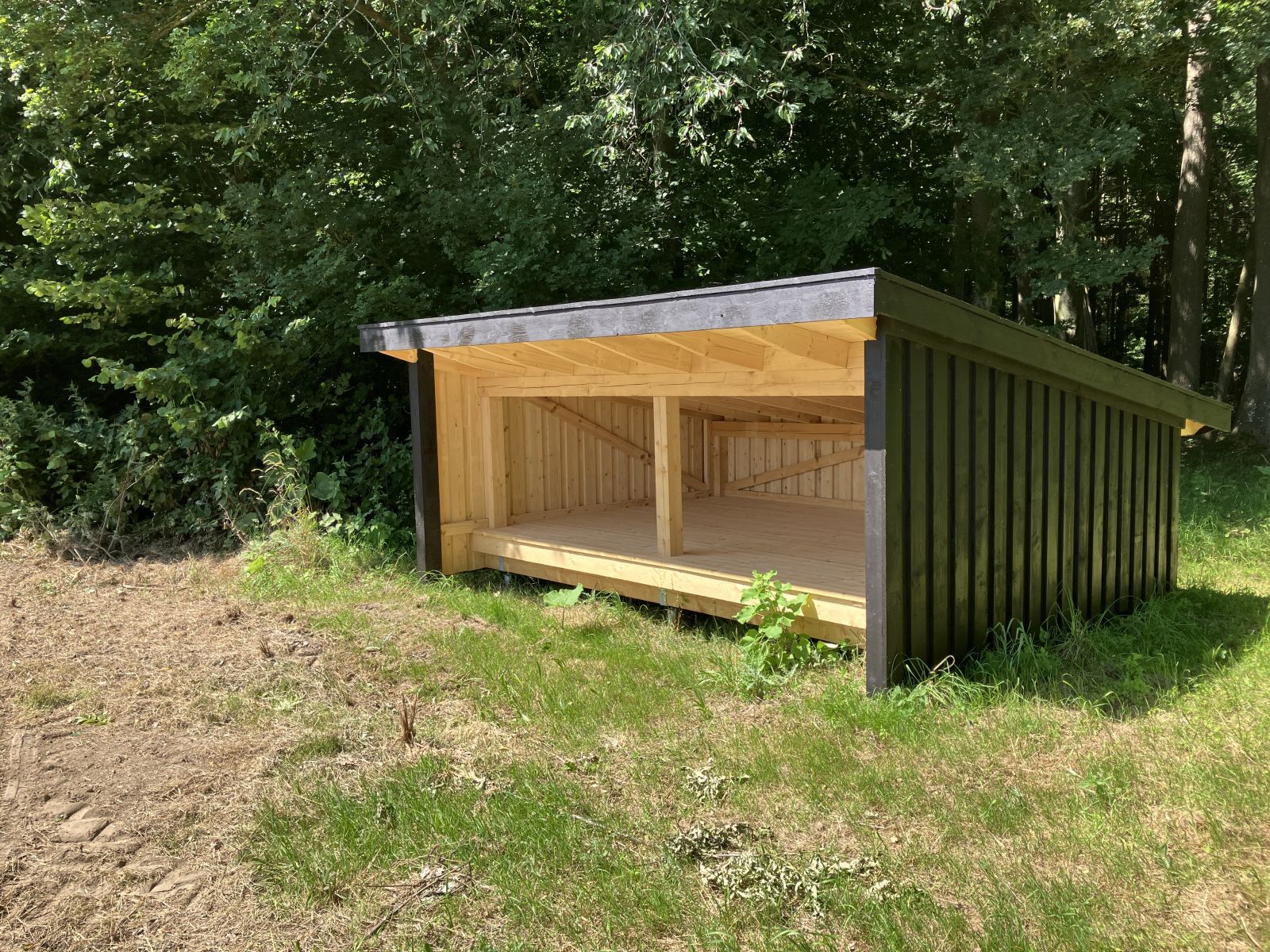 Foto af shelter