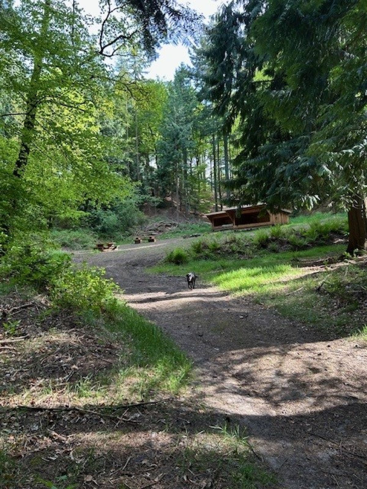 Legind Bjerge Plantage