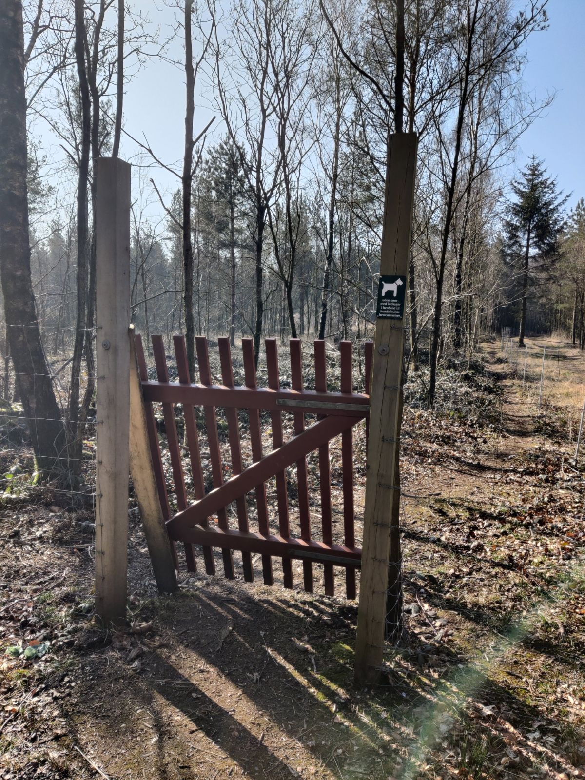 indgang til hundeskov