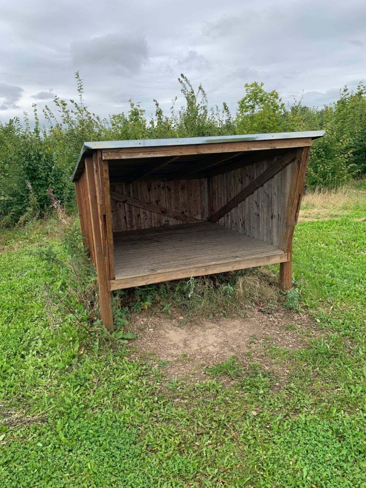 Hadbjerg Skov Shelterplads – miniature 4